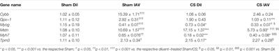 Influenza A Virus-Driven Airway Inflammation may be Dissociated From Limb Muscle Atrophy in Cigarette Smoke-Exposed Mice